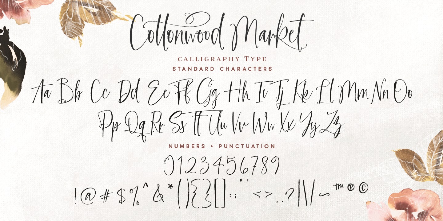 Пример шрифта Cottonwood Market #5